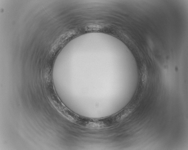 X0000051910455200507152035