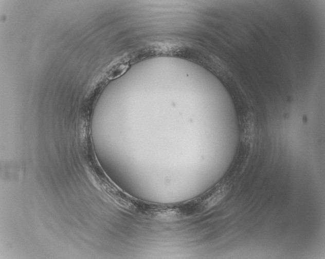 X0000051910456200507152035