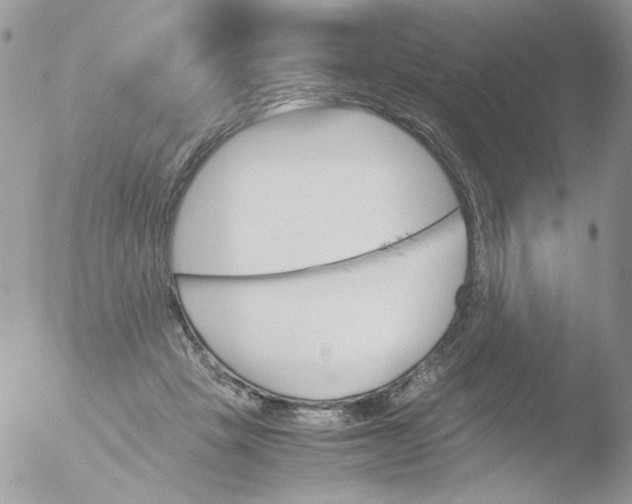 X0000051910457200507152035