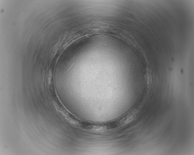 X0000051910458200507152035