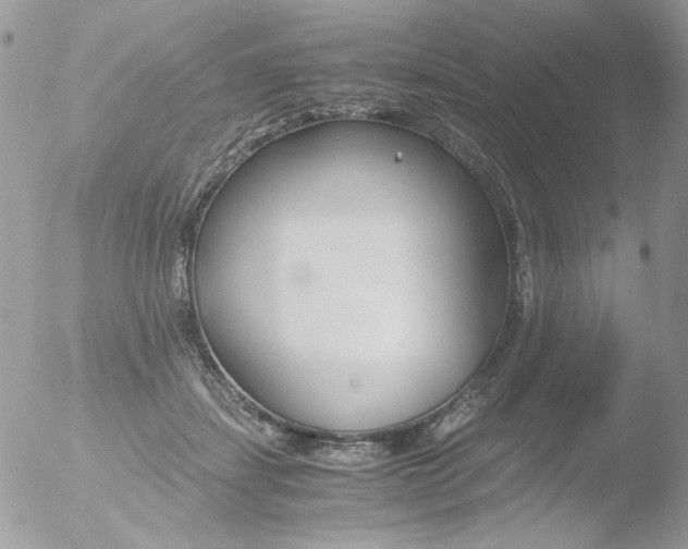 X0000051910459200507152035