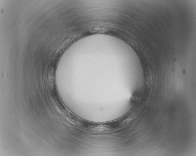 X0000051910460200507152035