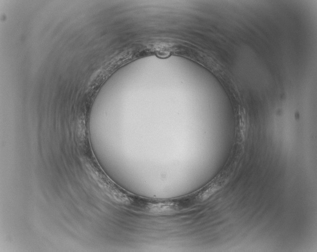 X0000051910461200507152035