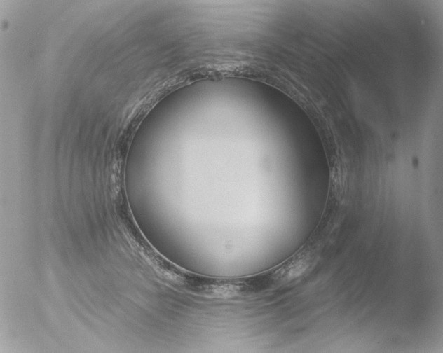 X0000051910462200507152035