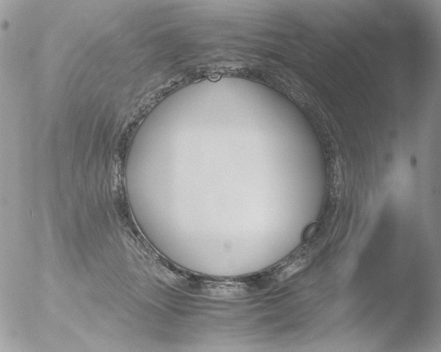 X0000051910463200507152035