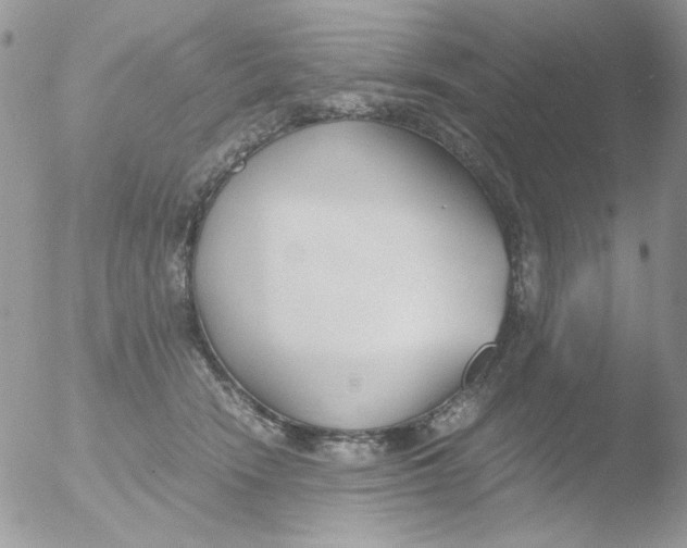 X0000051910466200507152035