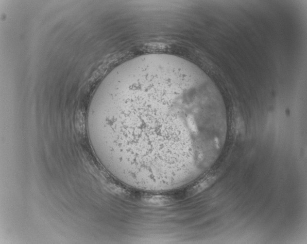 X0000051910467200507152035