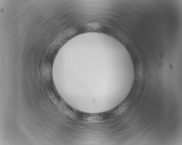 X0000051910468200507152035