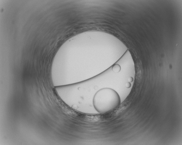 X0000051910469200507152035