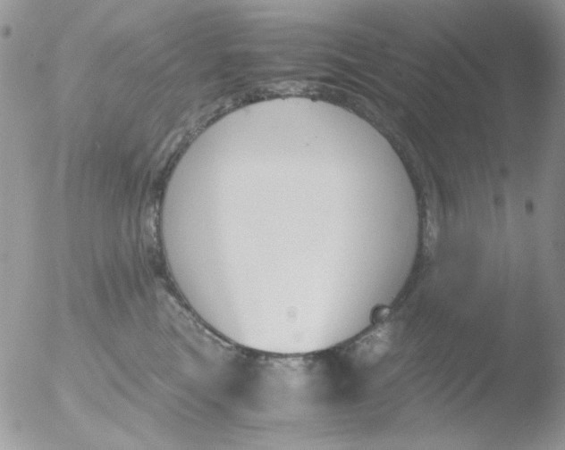 X0000051910473200507152035