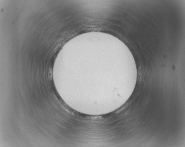 X0000051910474200507152035