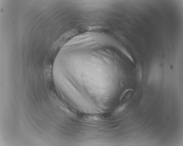 X0000051910475200507152035