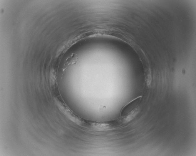 X0000051910476200507152036