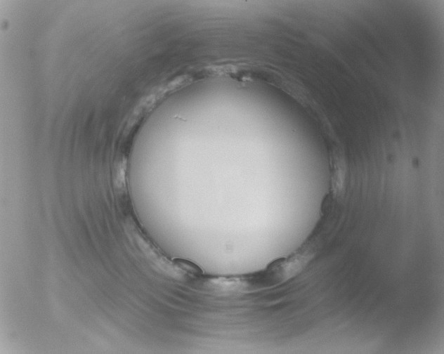 X0000051910477200507152036