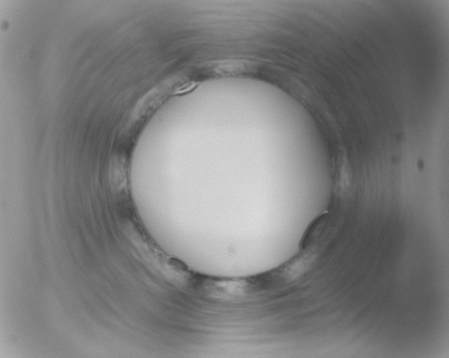 X0000051910478200507152036