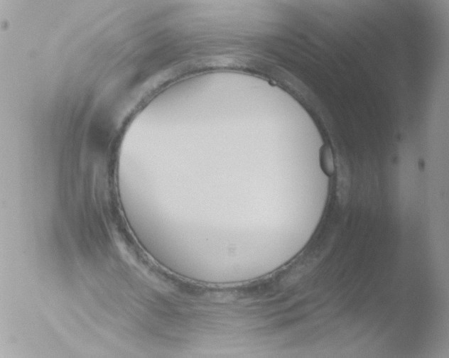 X0000051910482200507152035