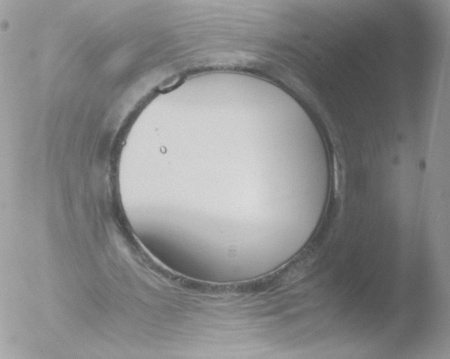 X0000051910483200507152035