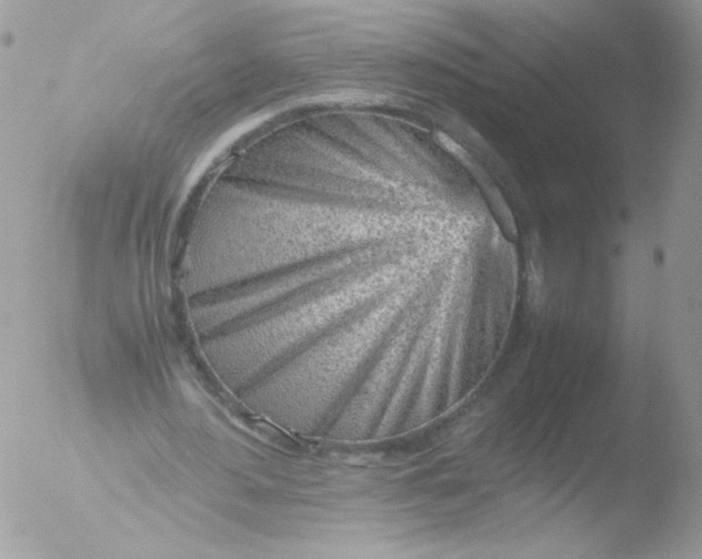 X0000051910484200507152035