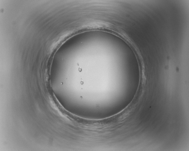 X0000051910485200507152035