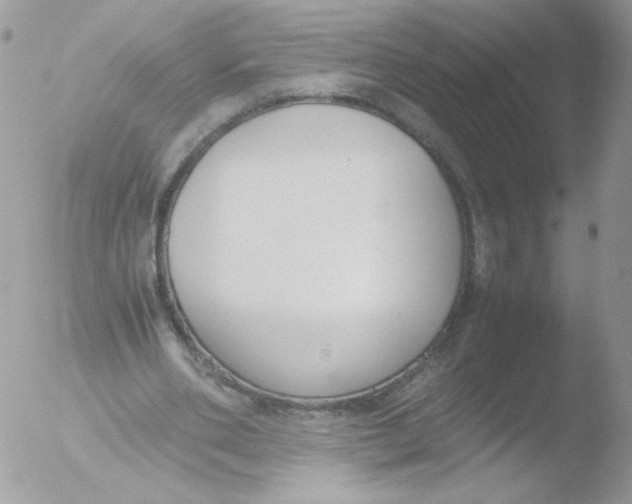 X0000051910486200507152035