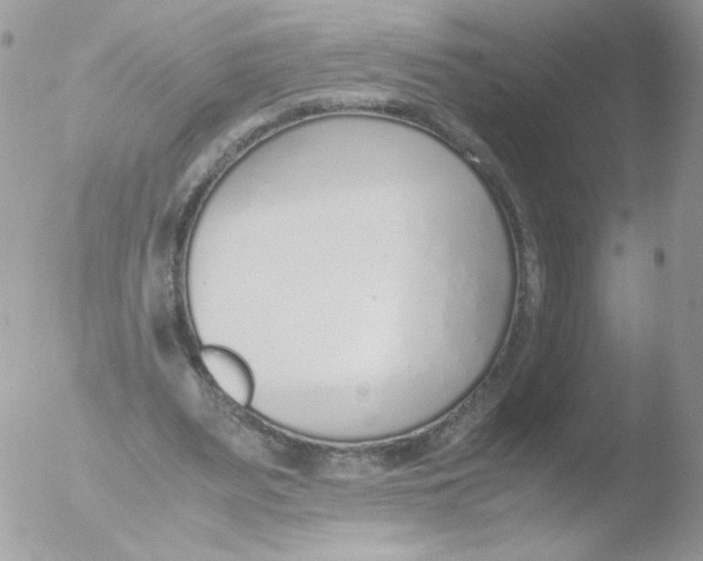 X0000051910487200507152035