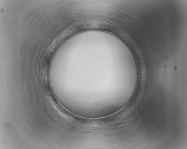 X0000051910489200507152035