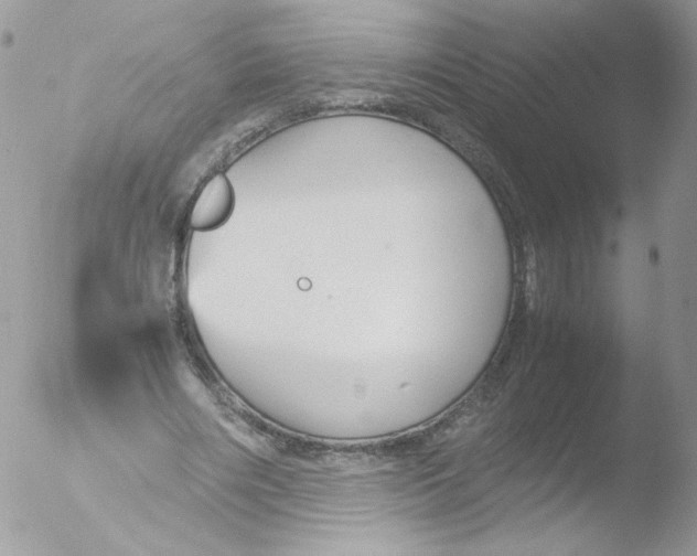 X0000051910490200507152035