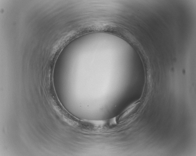 X0000051910493200507152035