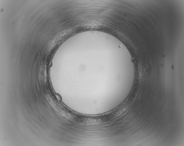 X0000051910494200507152035