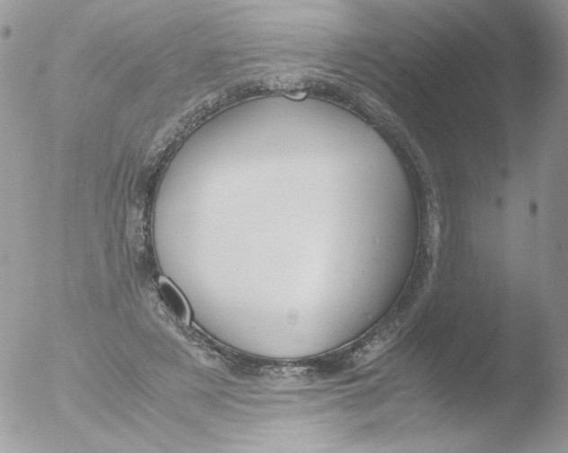 X0000051910497200507152034