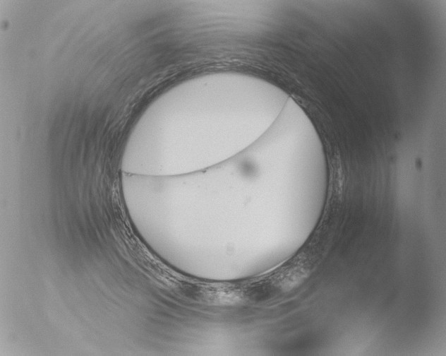 X0000051910498200507152034