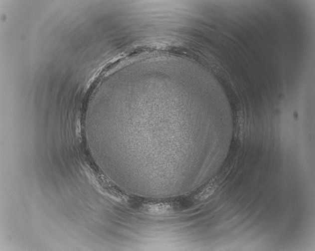 X0000051910500200507152034