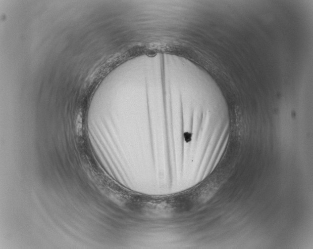 X0000051910502200507152034