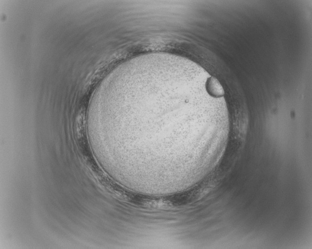 X0000051910503200507152034