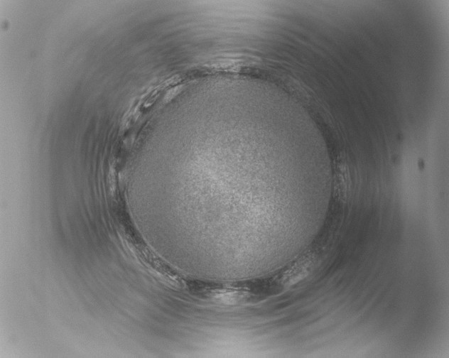 X0000051910504200507152034