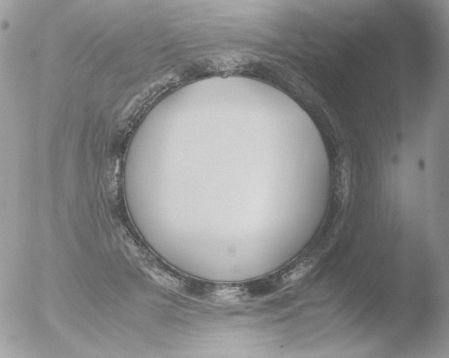 X0000051910505200507152034