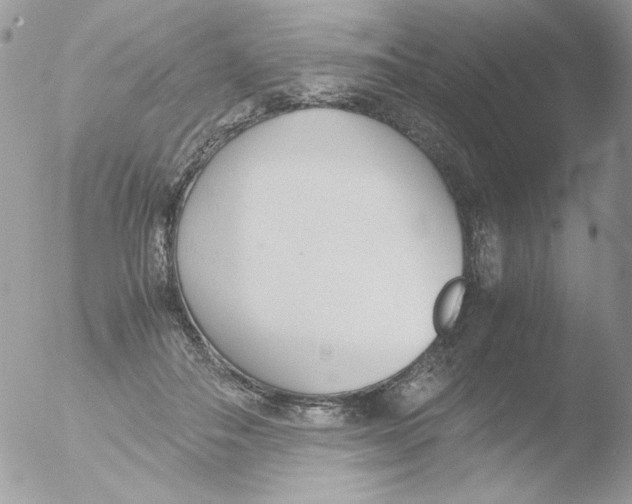 X0000051910506200507152034