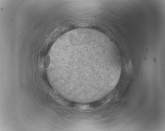 X0000051910507200507152034