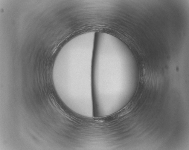 X0000051910508200507152034