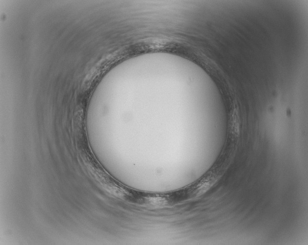 X0000051910509200507152034