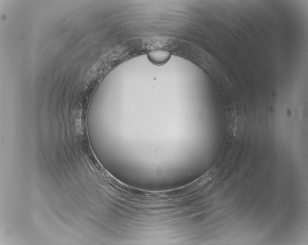 X0000051910510200507152034