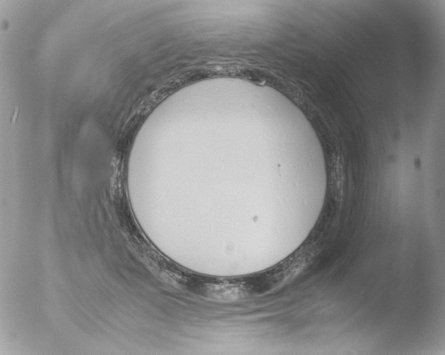 X0000051910511200507152034