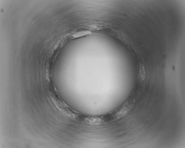 X0000051910512200507152034