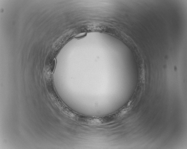 X0000051910513200507152034