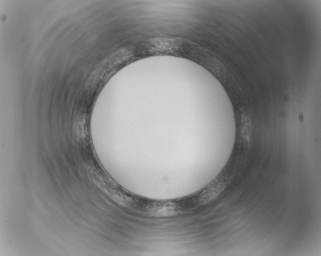 X0000051910514200507152034