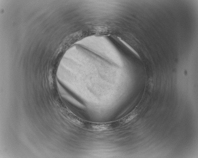 X0000051910516200507152034