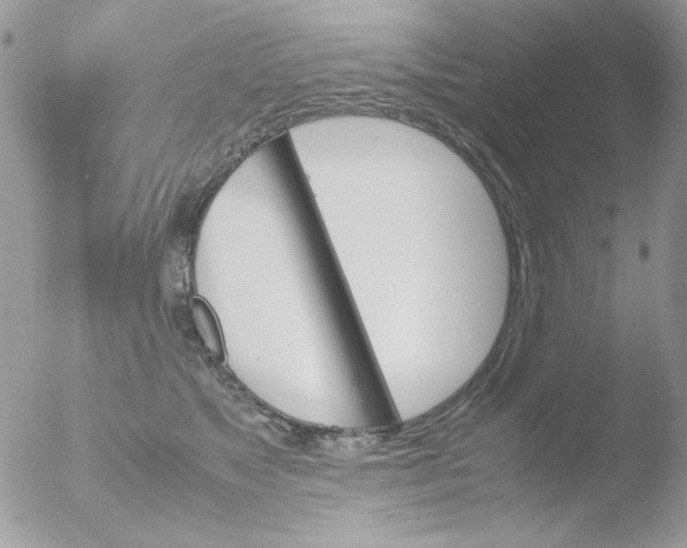 X0000051910517200507152034