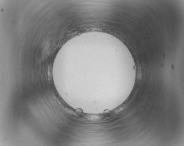 X0000051910518200507152034