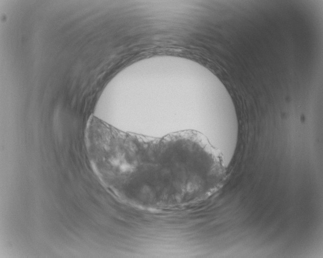 X0000051910519200507152034