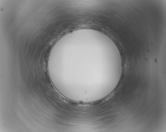 X0000051910520200507152034